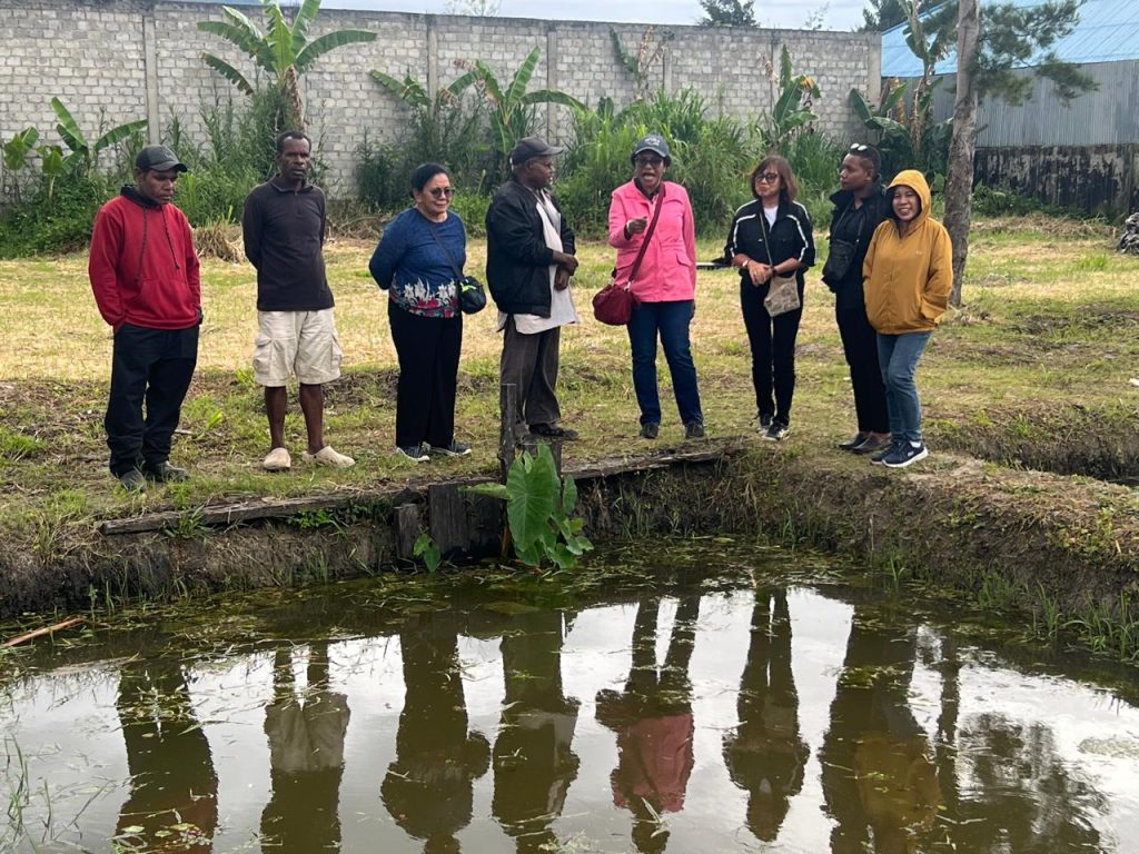 Uncen Melatih Jemaat Gereja Di Wamena Budidaya Ikan Air Tawar.