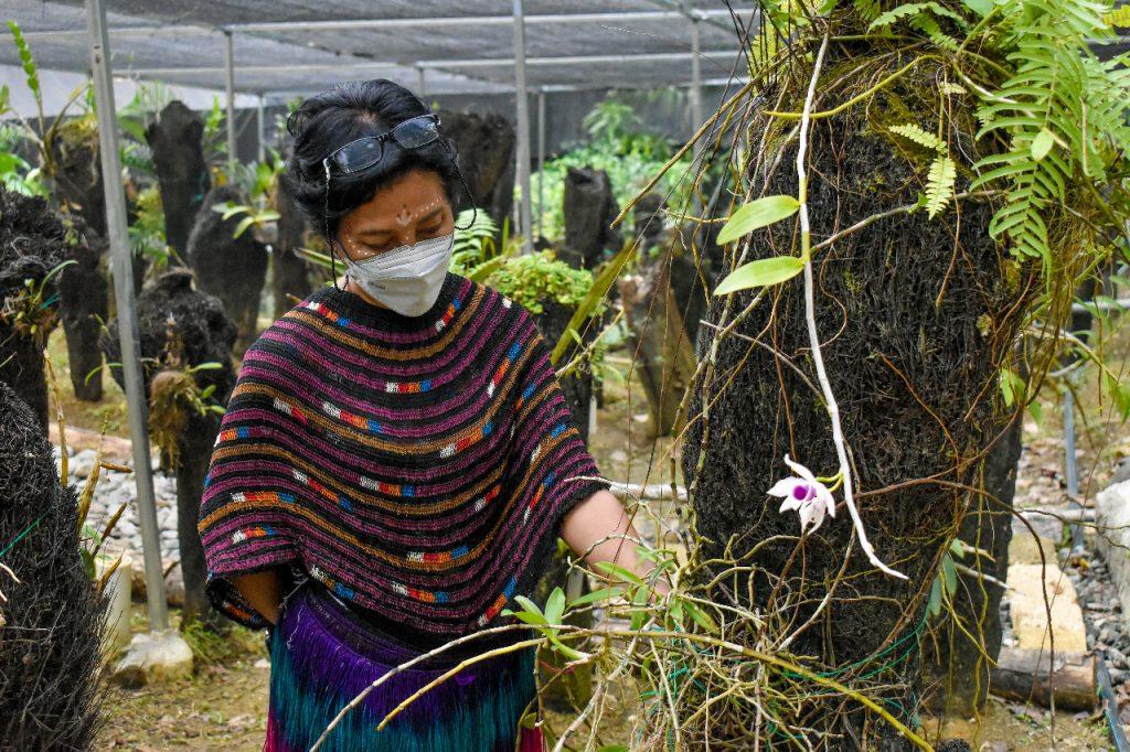 Orchidarium Dra. Verena Agustini, M.Sc. Sebagai Eduwisata Kampus.